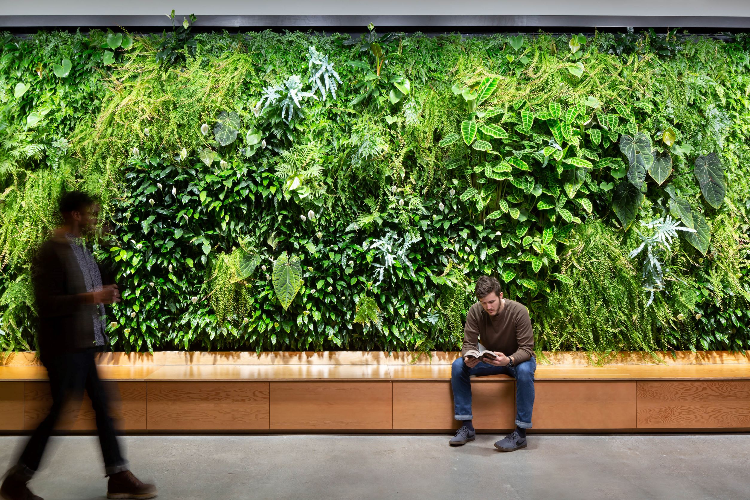 Living wall with architectural lighting design by LUMA, Seattle, Washington